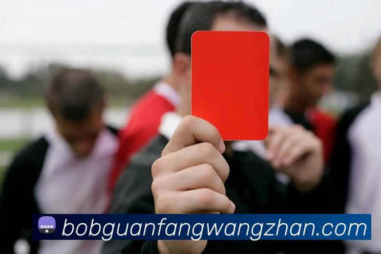 bob官方网站平台生态图